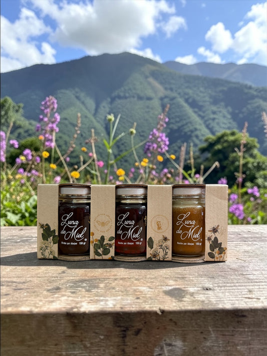 Las 3 Mejores Mieles de Colombia 🇨🇴 150 gr
