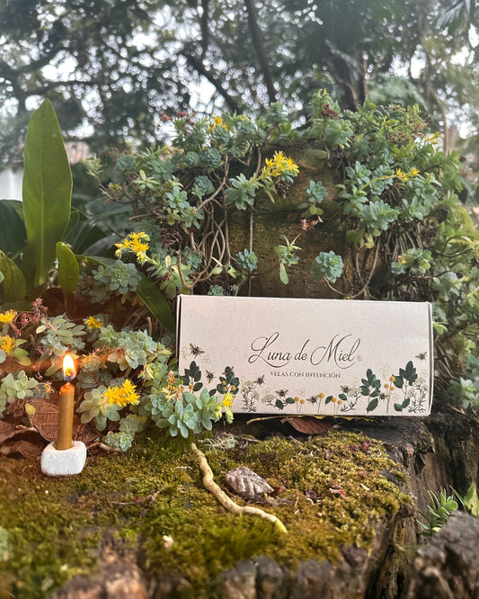 Velas con Intención de cera de abejas