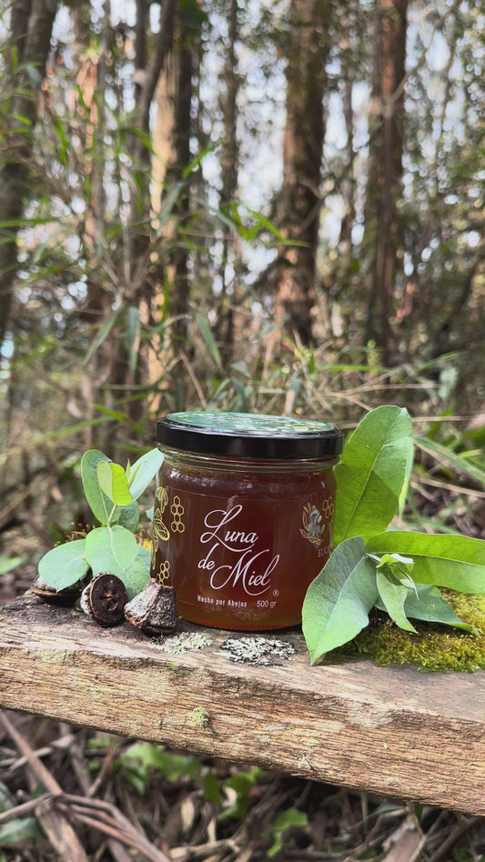 Miel Multifloral Orgánica con Eucalipto