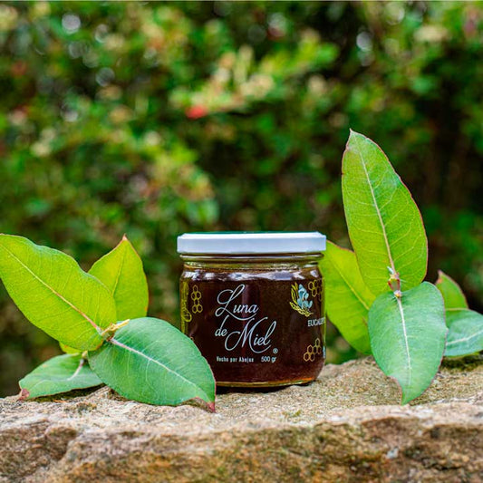 Miel con Eucalipto - Luna de Miel