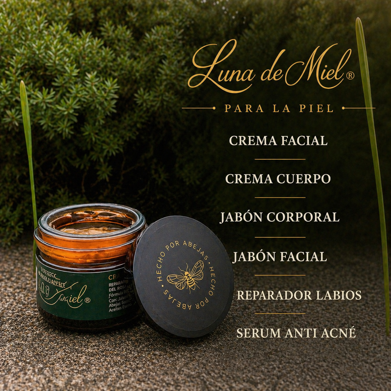 Cremas-Jabones-Serum