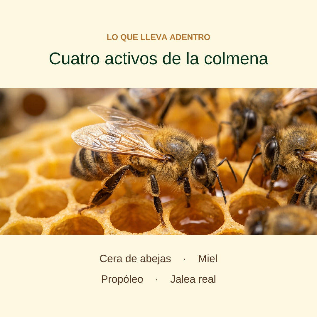 Cuatro activos de la colmena: cera de abejas, miel, propóleo y jalea real