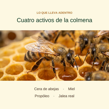 Cuatro activos de la colmena: cera de abejas, miel, propóleo y jalea real