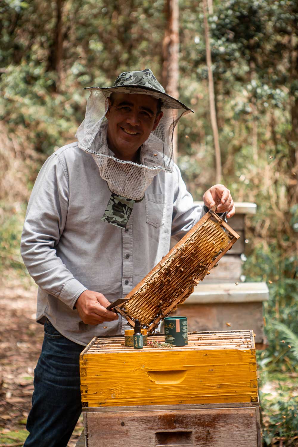 Miel de paramo