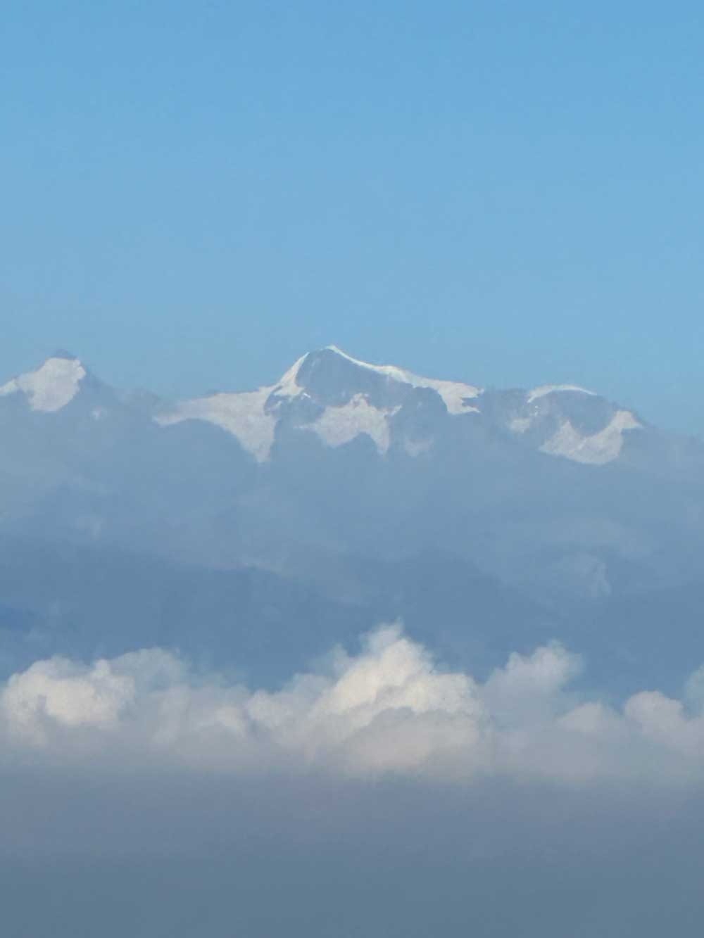 Miel Sierra Nevada