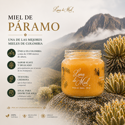 Miel de paramo
