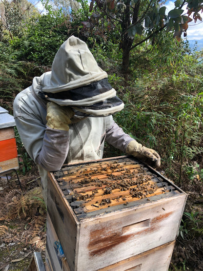 Luna de miel con panal de abejas