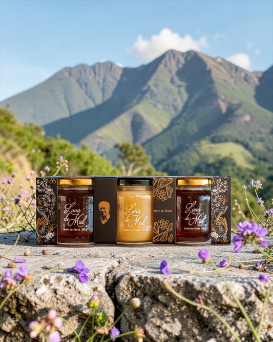 Las 3 Mejores Mieles de Colombia. Presentación 280 gr