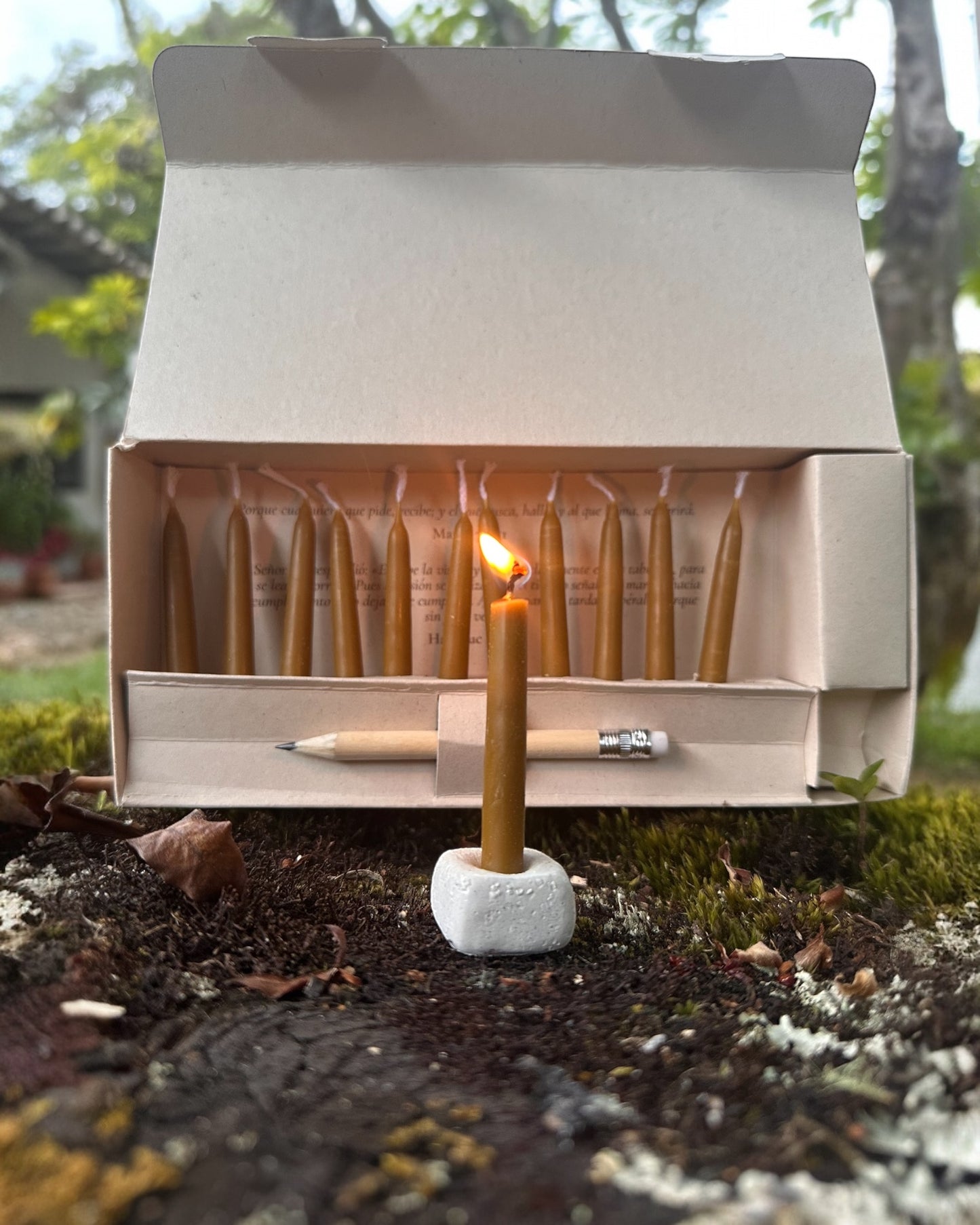 Velas con Intención de cera de abejas