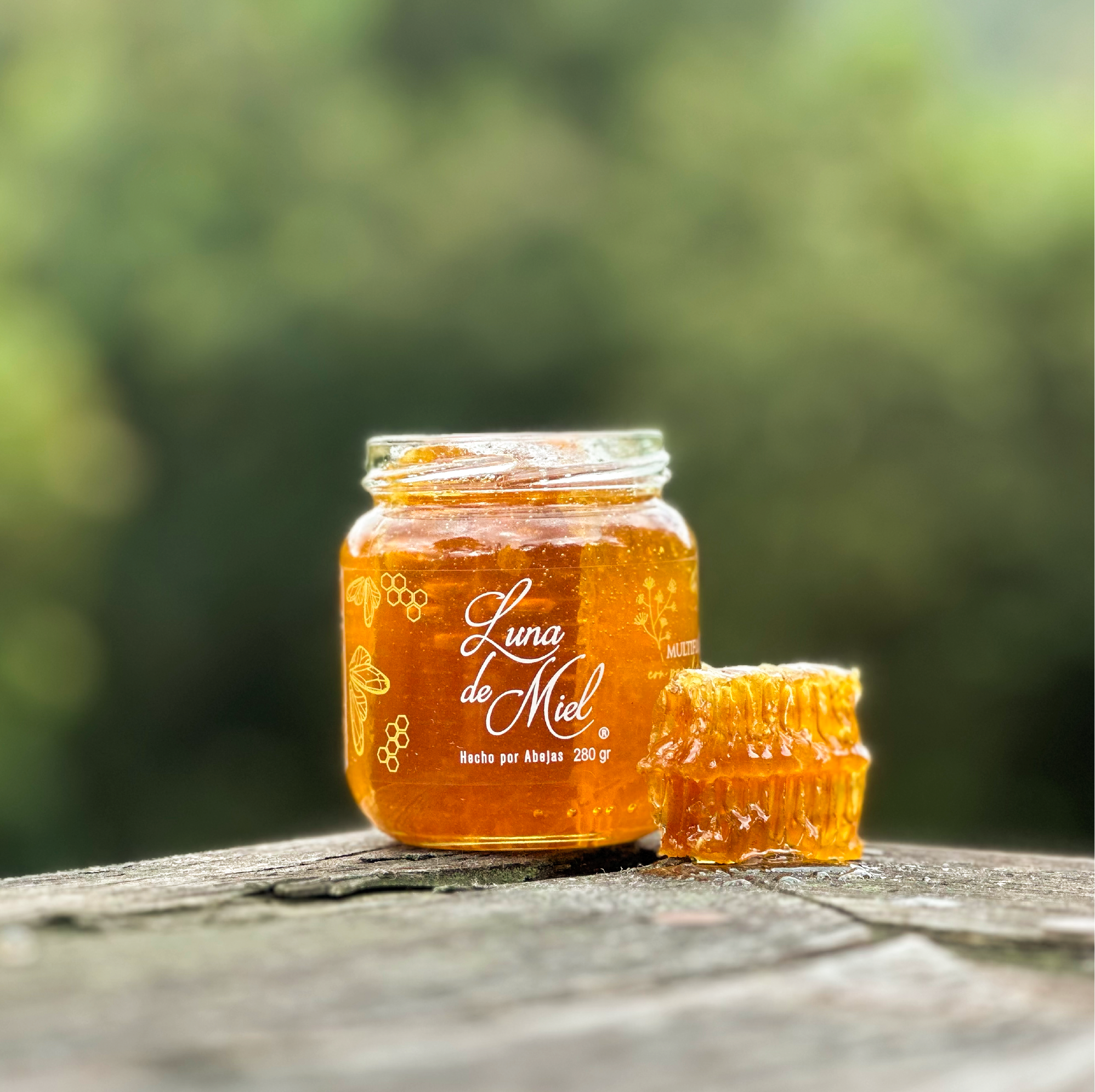 Luna de miel con panal de abejas — Luna de Miel