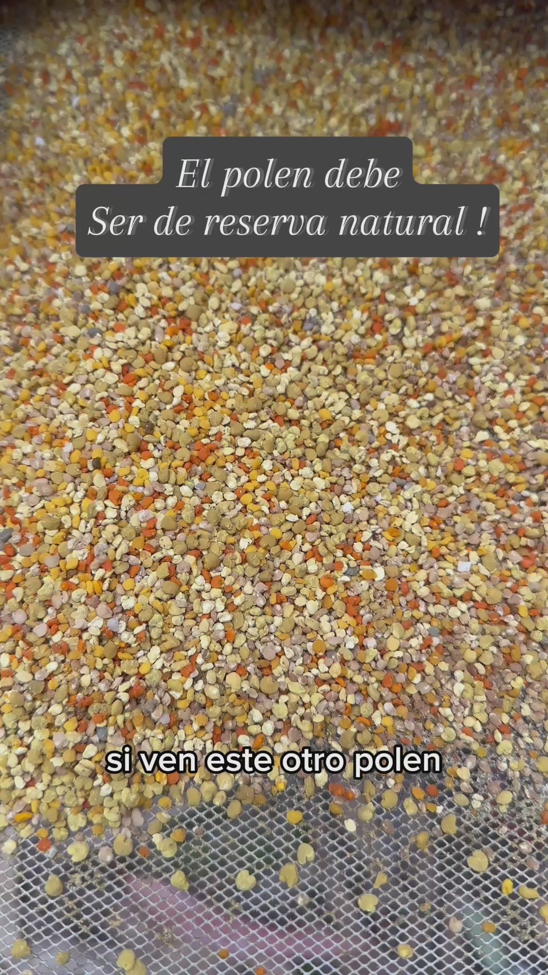 Polen organico 