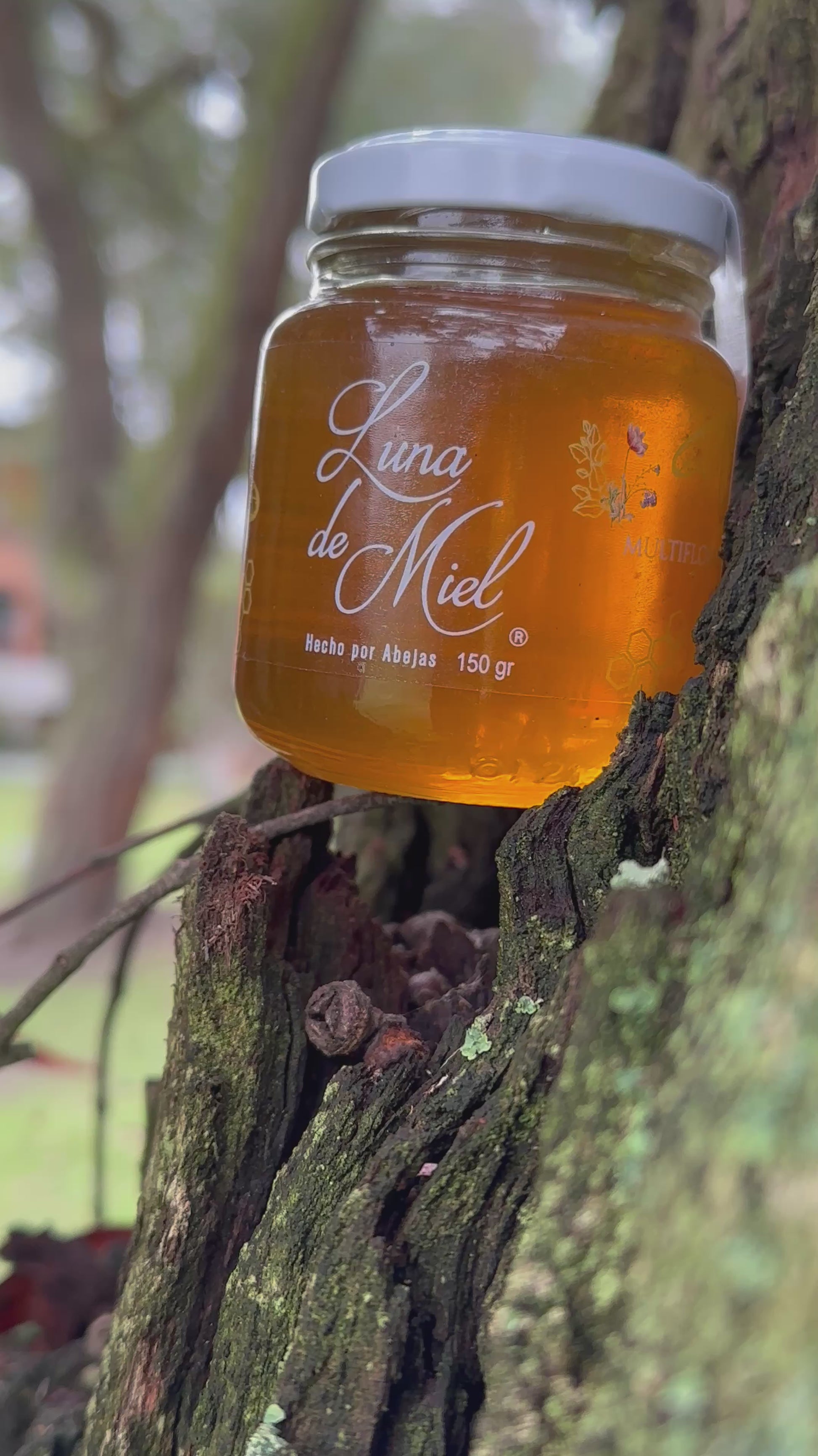 Miel Multifloral Orgánica