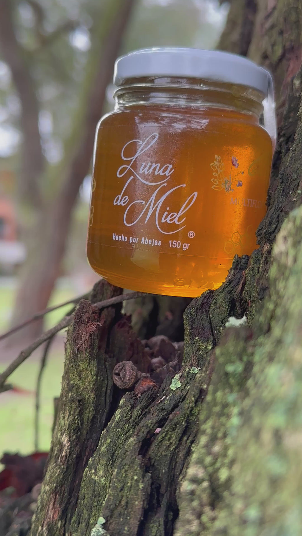 Miel Multifloral Orgánica